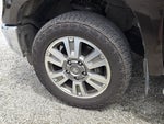2020 Toyota Tundra 4WD Platinum