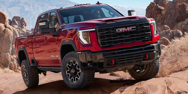 A Red Sierra climbing on stones in hills area